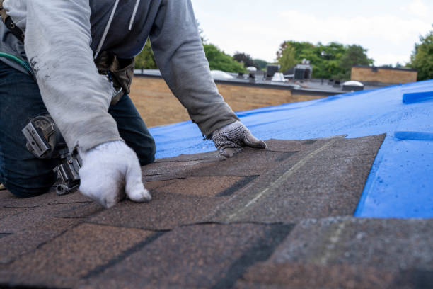 Roof Gutter Cleaning in Dickinson, TX
