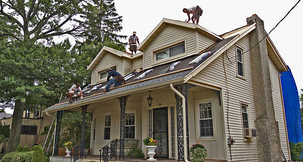 Best Roof Leak Repair  in Dickinson, TX
